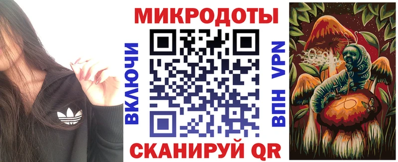 дарнет шоп  Кунгур  Галлюциногенные грибы Psilocybine cubensis 